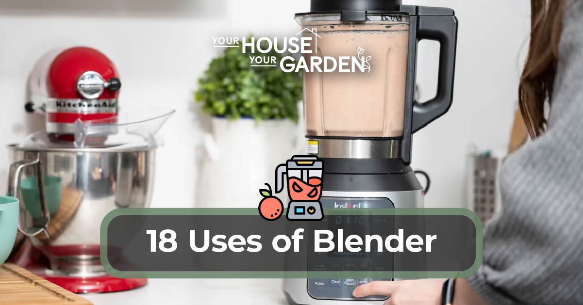 different uses of blender