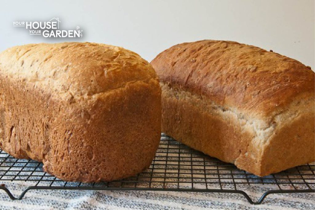 oven vs bread machine bread