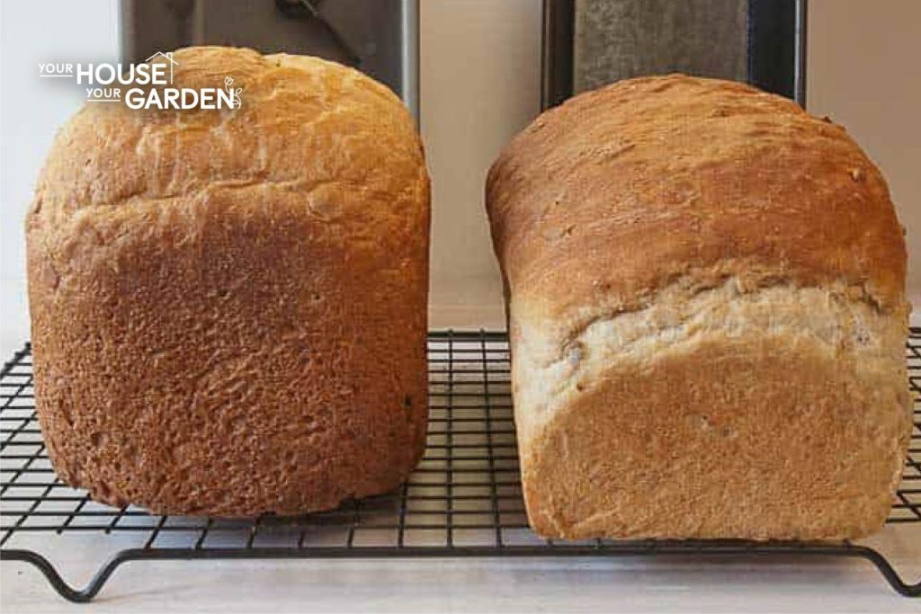 2 loafs of bread