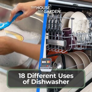 Different Uses for Dishwasher
