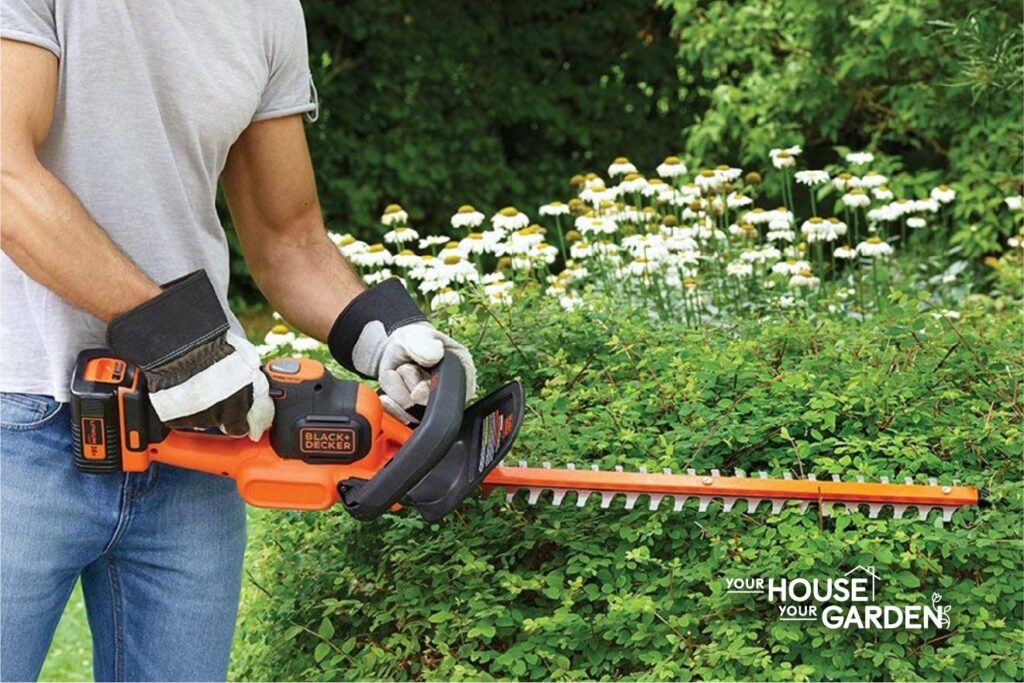 Using a cordless hedge trimmer