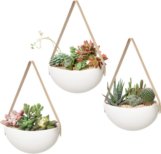 Ceramic Succulent Planter Hanging Set