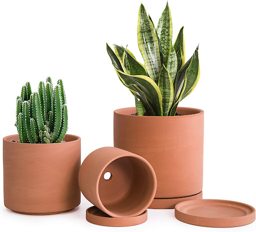 Terracotta Succulent Planters with Saucer