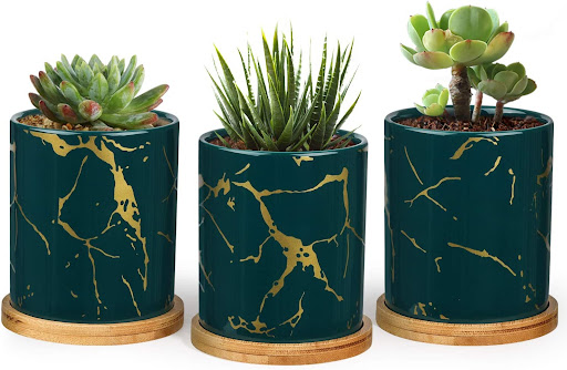 Ceramic Plant Pots for Succulents with Round Trays