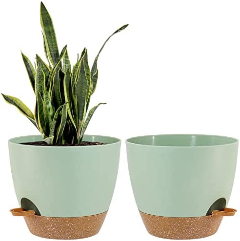 Indoor Self Watering Plant Pots with Saucer
