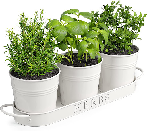 Herb Garden Indoor Planter Pots & Tray Set