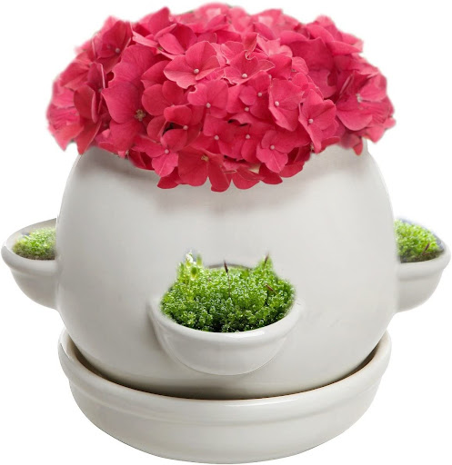 Decorative Ceramic Strawberry Planter