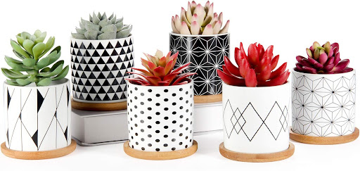 Patterned Succulent Planters with Drainage Tray