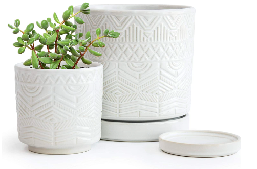 D'vine Dev Modern Matte Floral Embossed Ceramic Planter