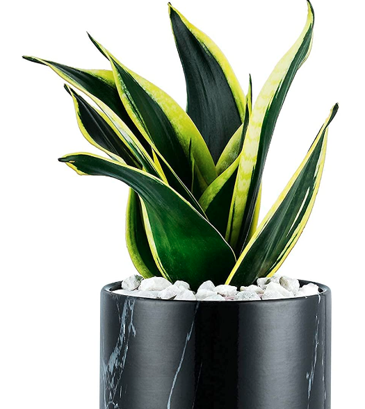 FEIAA Modern Decorative Ceramic Flower Orchid Pot