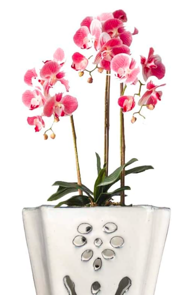 YMD Orchid Pot with Drainage Hole and Pattern