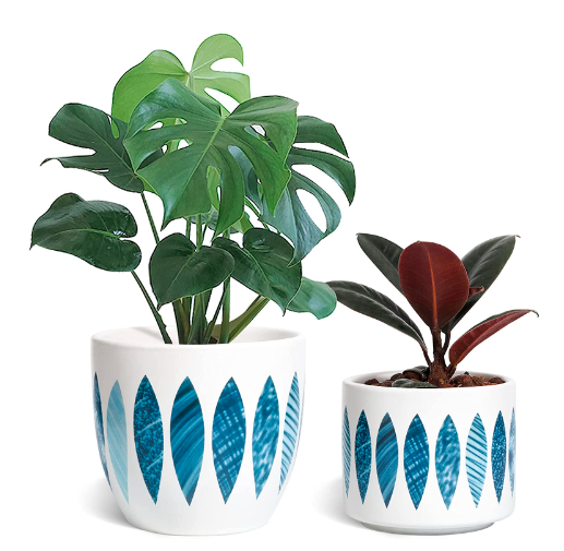Decorative Ceramic Monstera Planter Set