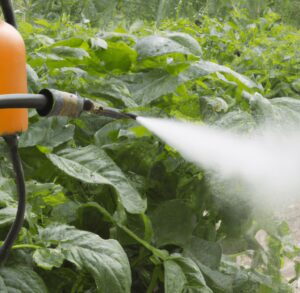 a vegetable garden being sprayed with insect killer