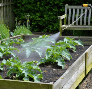 a vegetable garden with raised beds being sprayed with insect killer