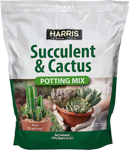 Harris Premium Succulent and Cactus Potting Soil Mix