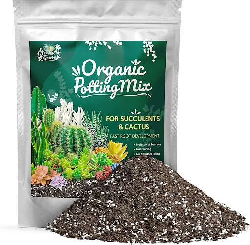 Sprout N Green Organic Potting Mix for Succulents