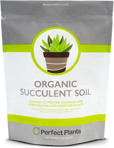 All Natural Succulent and Cactus Soil Mix by Perfect Plants