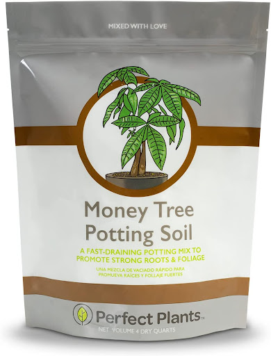 Perfect Plants Money Tree Potting Soil