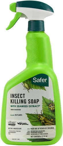 Safer Brand Insect Killing Soap