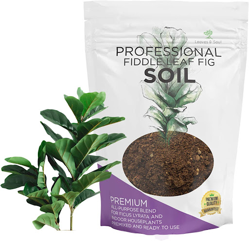 Houseplant Fiddle Leaf Fig Soil Premium All Purpose Blend