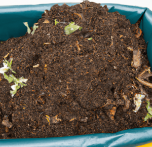 Benefits of using vermicompost as a fertilizer