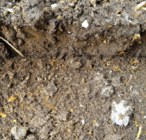 Part of soil texture in plant growth