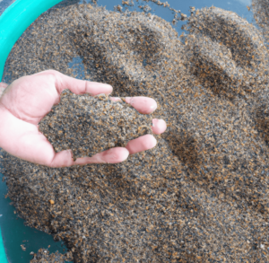Profit of using fish emulsion as a fertilizer