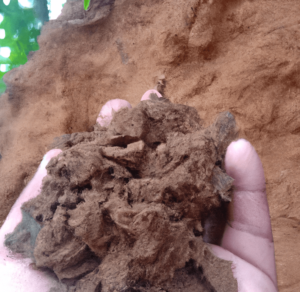 Recognize soil structure and its worth in plant growth