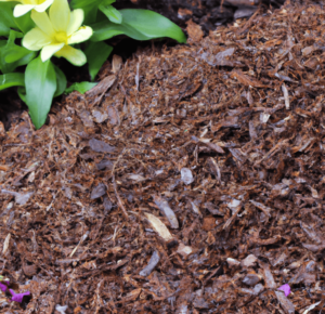 Role of mulch in fertilizing your garden