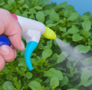 Task of herbicides in gardening