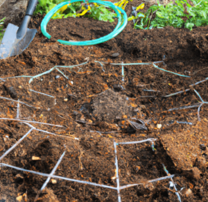 To create and maintain a soil food web in your garden