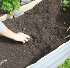 To develop your garden bed