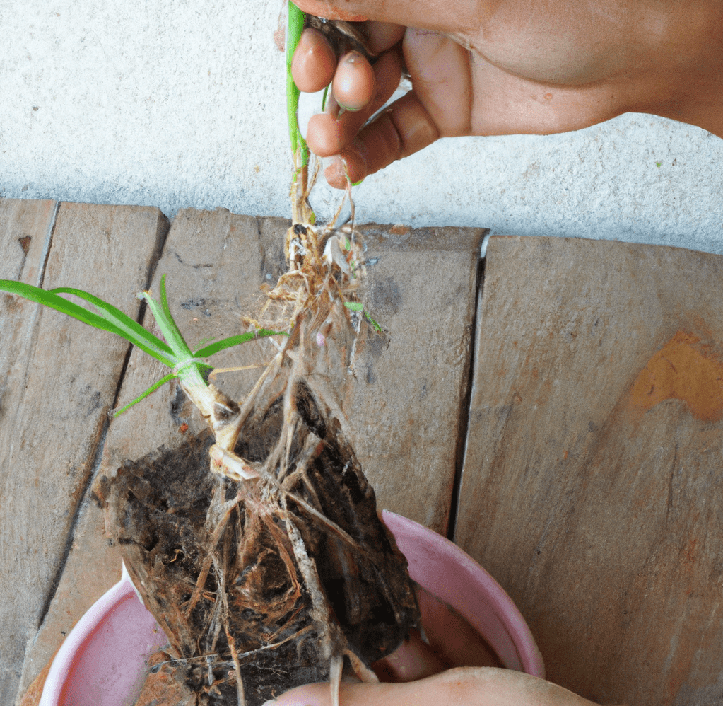 To propagate plants