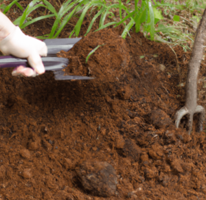 Understanding and using soil amendments in your garden