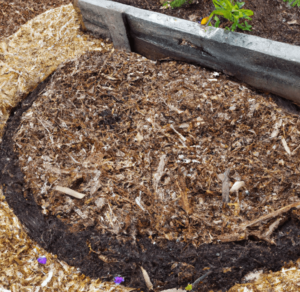 Using mulch in your garden